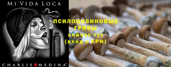 мет Армянск